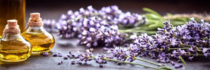 5d0925df5217221730a0bbfa_lavendar and essential oils for holistic therapy-min