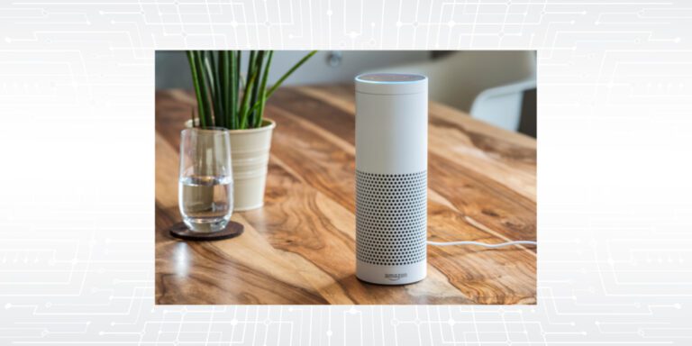 Making a House a Home with the Echo & Google Mini