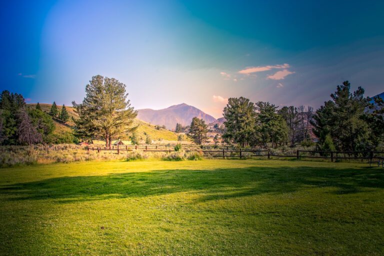 The Best National Parks for Accessible Travel