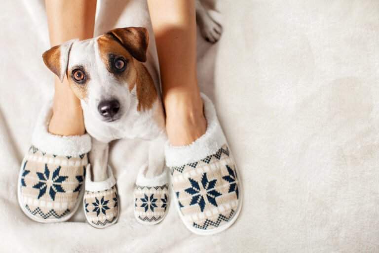 3 Surprising Ways Pets Benefit Your Kids