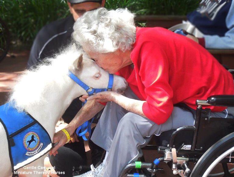 Miniature Therapy Horses Are Just What the Doctor Ordered