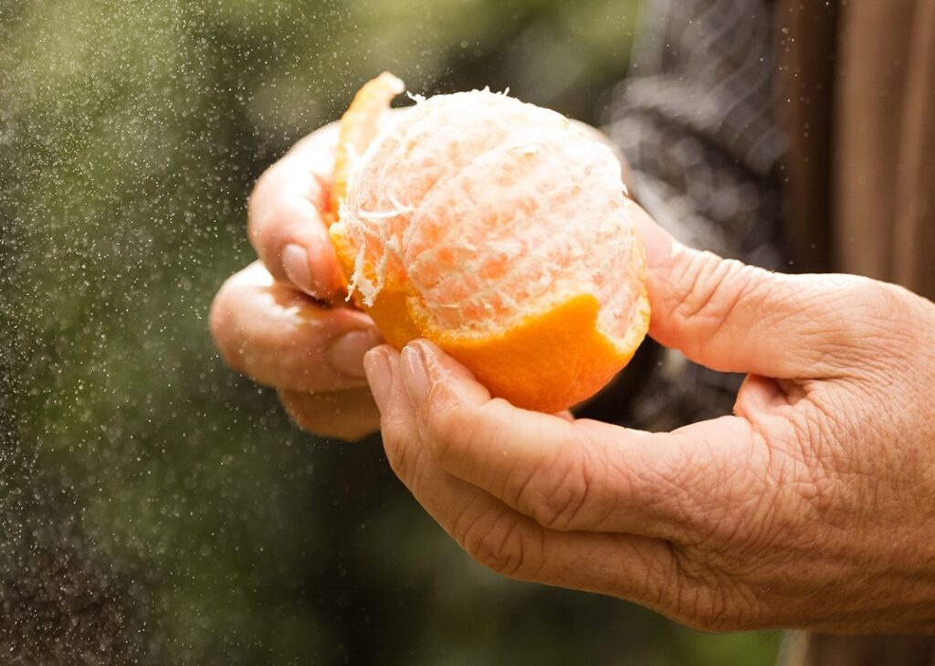 hands peeling an orange 