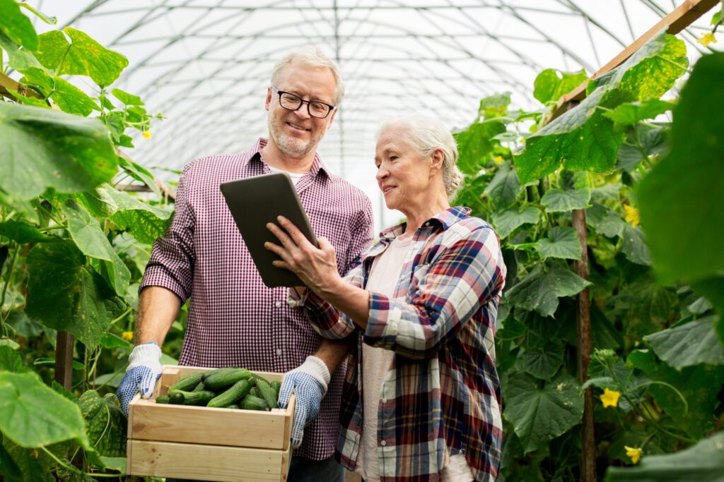 man holding basket of cucumbers in a greenhouse; women showing him something on an ipad screen