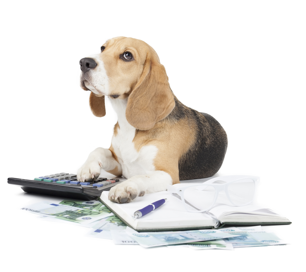 is a service animal tax deductible? Dog sits with calculator and paper