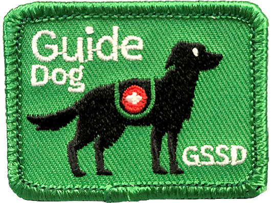 Girl Scouts promote inclusion with a Guide Dog patch program and others programs.