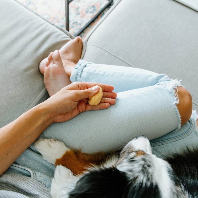 Woman seated on couch with a dog; squeezes Pinch Me Therapy Dough, a stress reduction tool