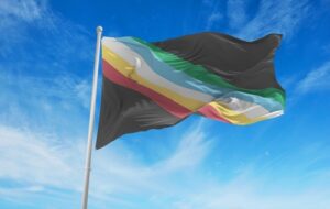 disability pride flag